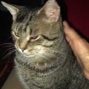 Meet your Posher, Karen